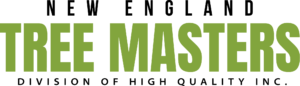 NE tree masters